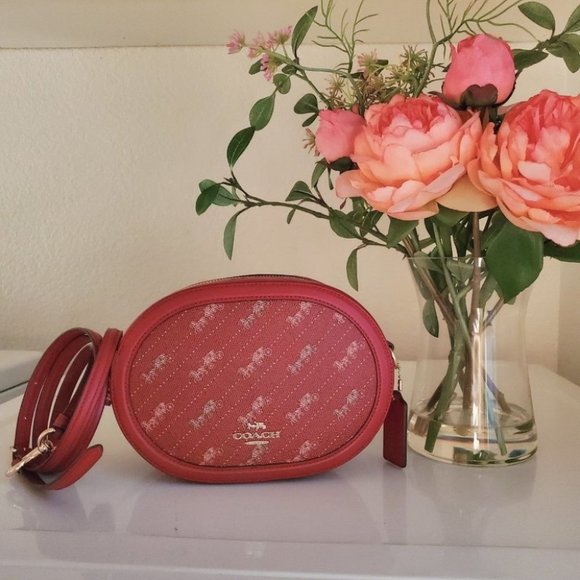 Coach crossbody horse and carriage